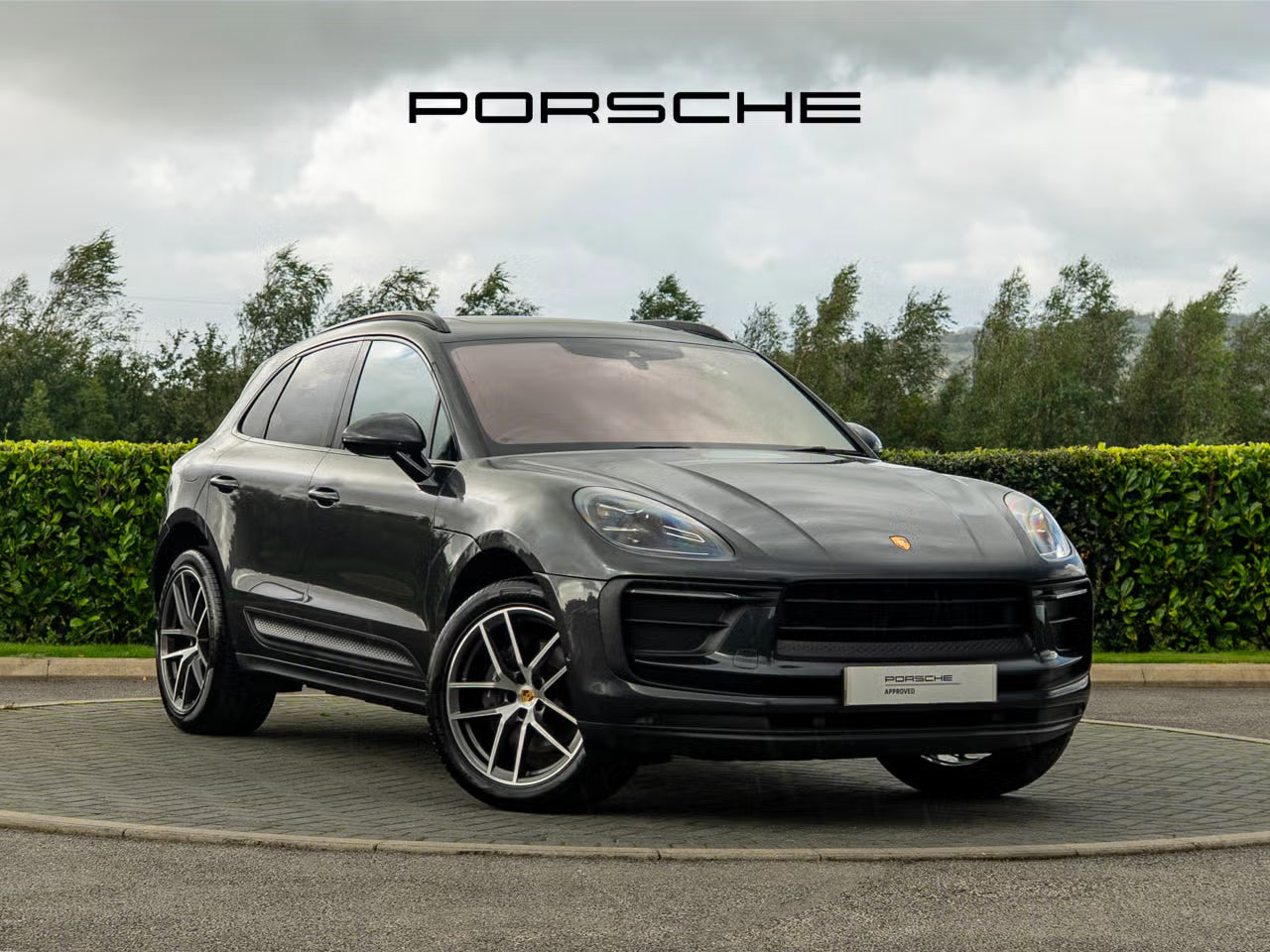 Macan