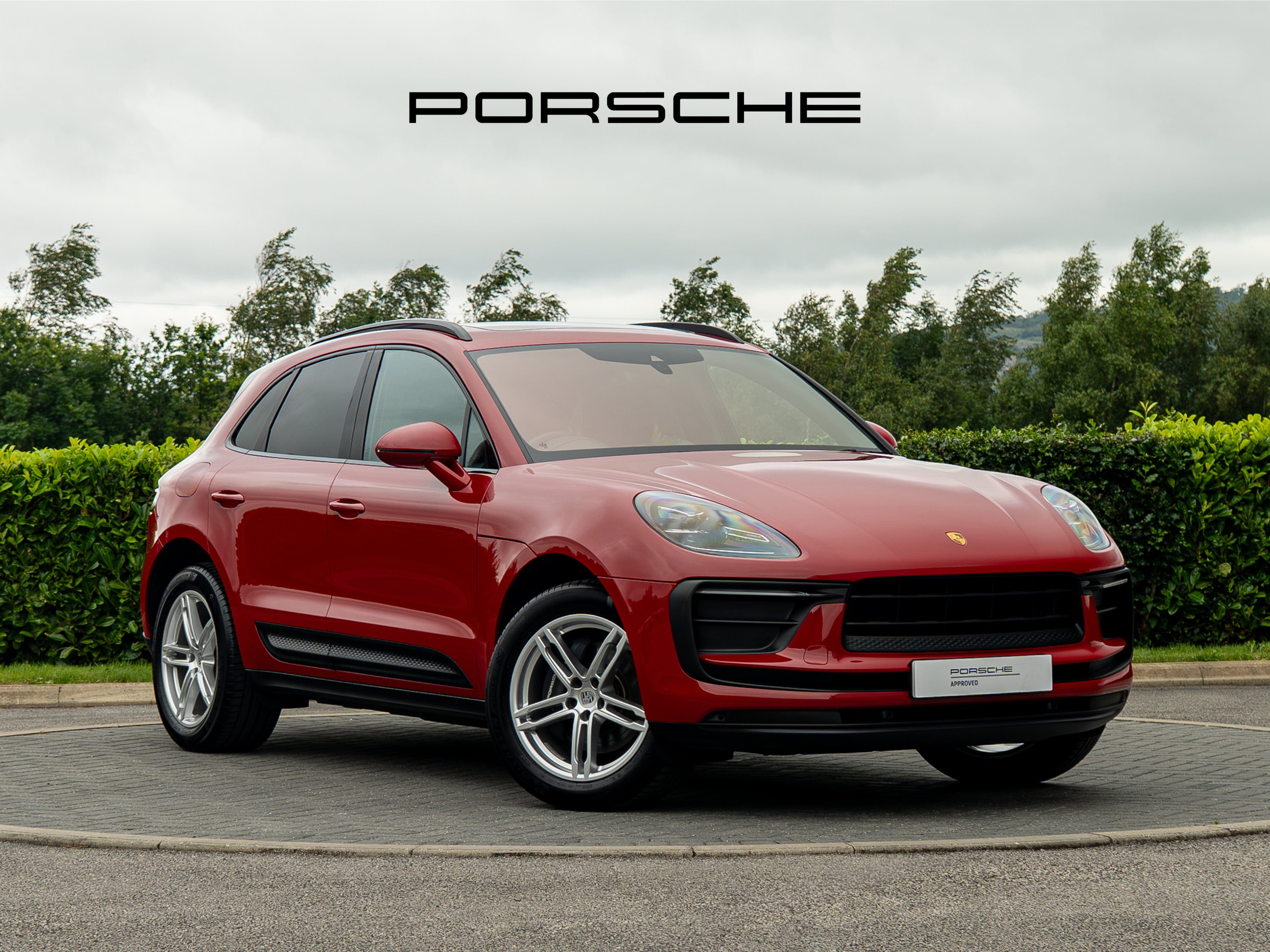 Macan